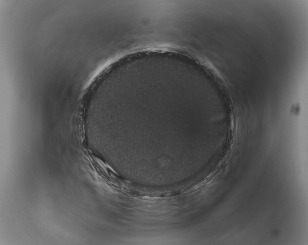 X0000111911256200908171254