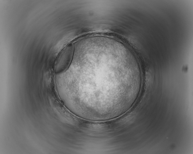 X0000111911257200908171254