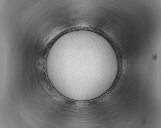 X0000111911258200908171254