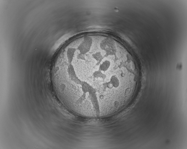 X0000111911259200908171254