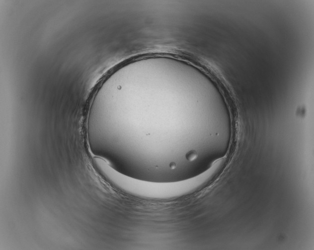 X0000111911260200908171254