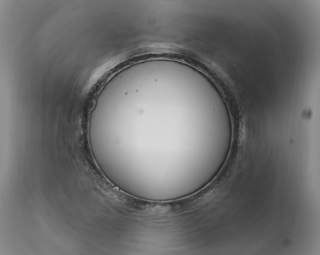 X0000111911261200908171254