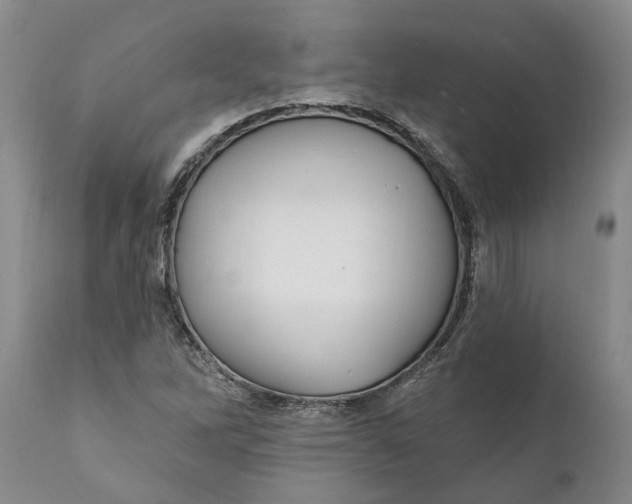 X0000111911262200908171254