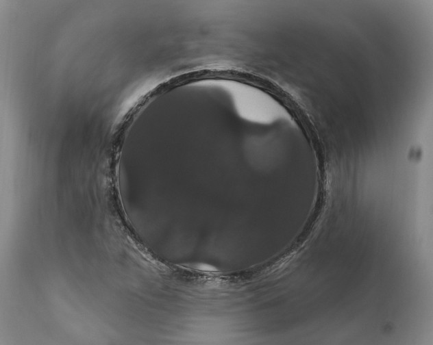 X0000111911263200908171254