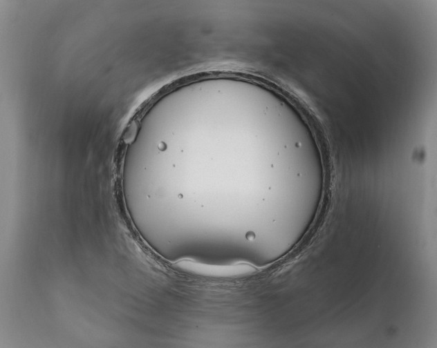 X0000111911264200908171254