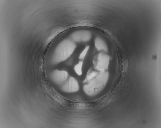 X0000111911266200908171254