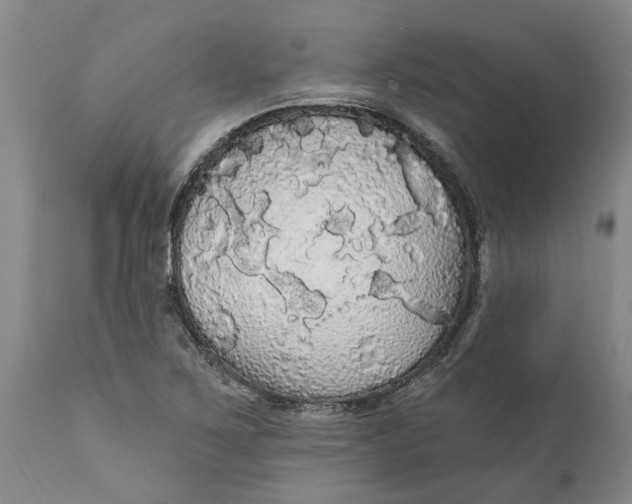 X0000111911267200908171254