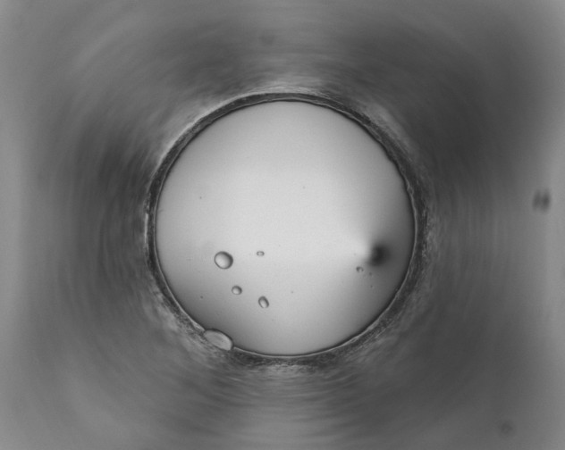 X0000111911268200908171254