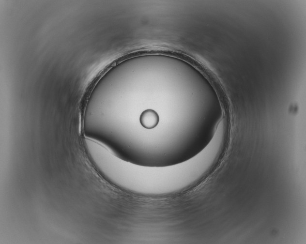 X0000111911269200908171254