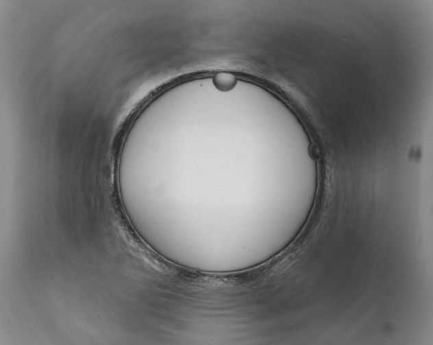 X0000111911270200908171254