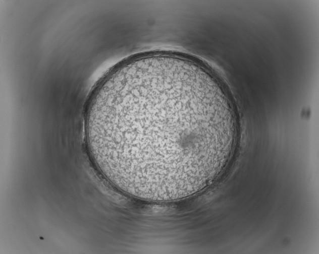 X0000111911271200908171254