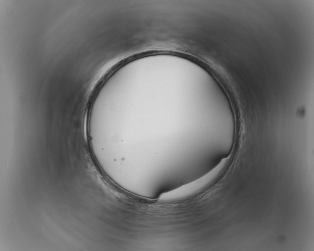 X0000111911272200908171254