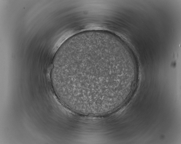 X0000111911273200908171253