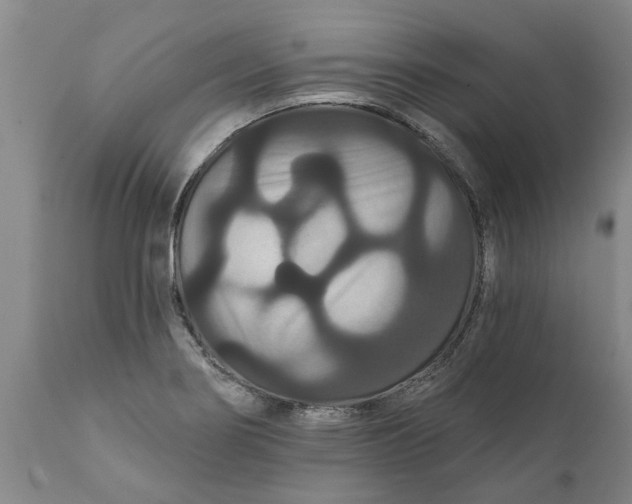 X0000111911274200908171253