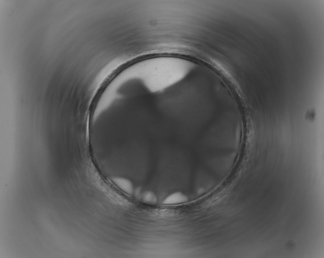 X0000111911275200908171253