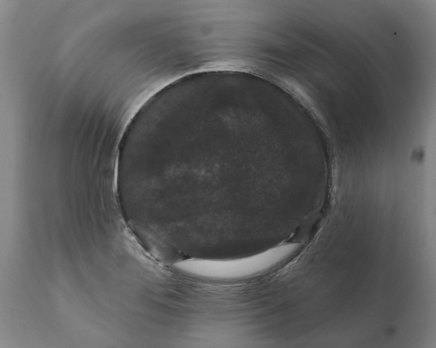 X0000111911276200908171253