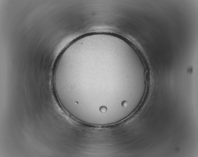 X0000111911277200908171253