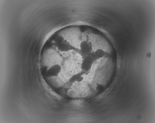 X0000111911278200908171253