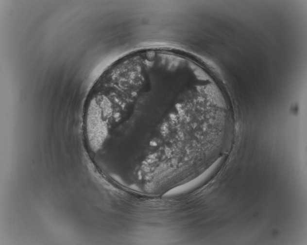 X0000111911279200908171253