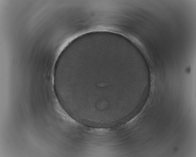 X0000111911280200908171253