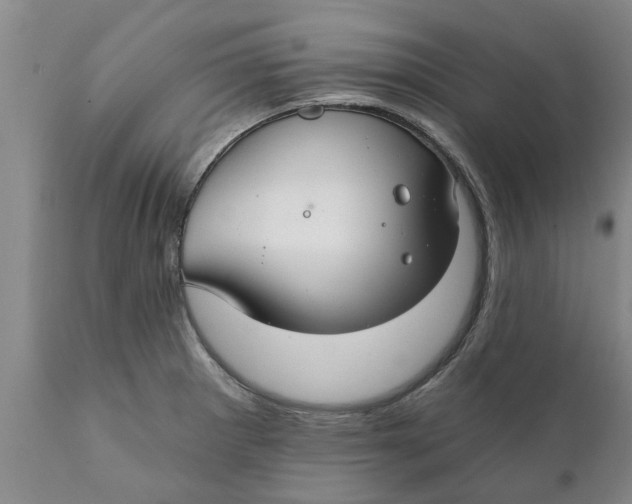 X0000111911281200908171253