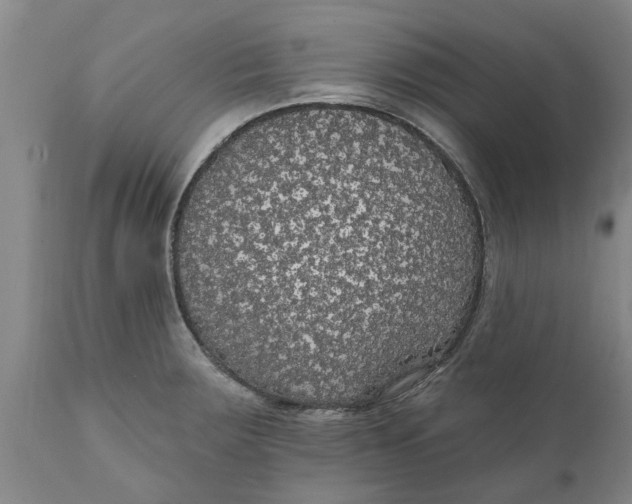 X0000111911283200908171253