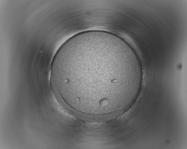 X0000111911284200908171253