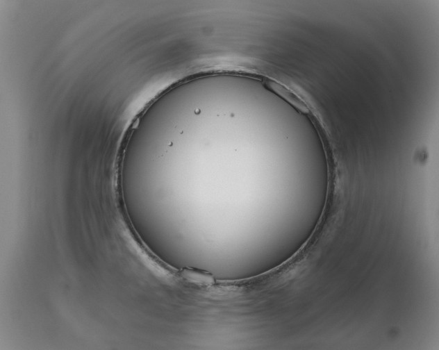 X0000111911285200908171253