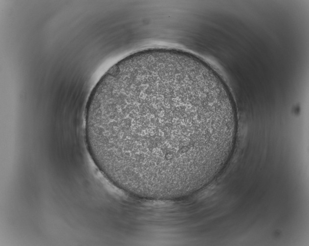 X0000111911287200908171253