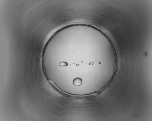 X0000111911288200908171253