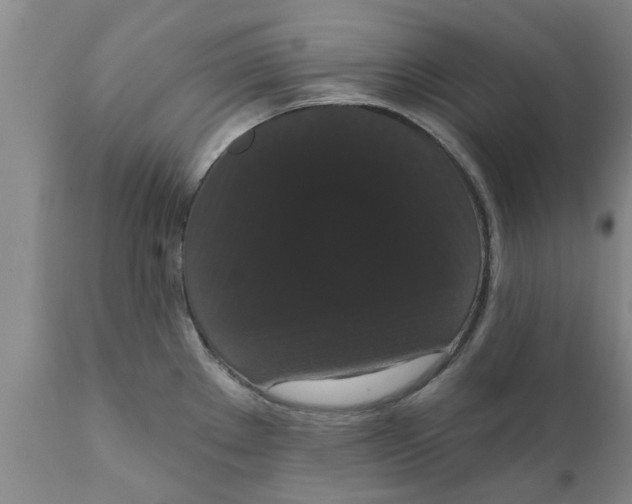 X0000111911289200908171253