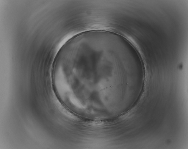 X0000111911291200908171253