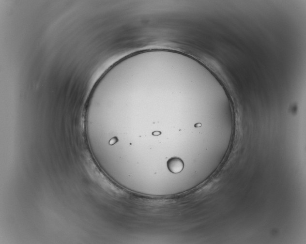 X0000111911292200908171253