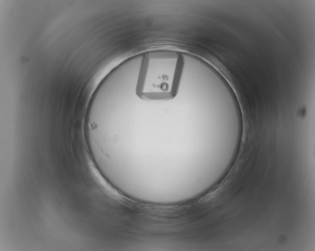 X0000111911293200908171253