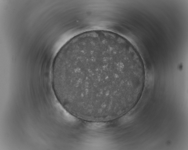 X0000111911294200908171253