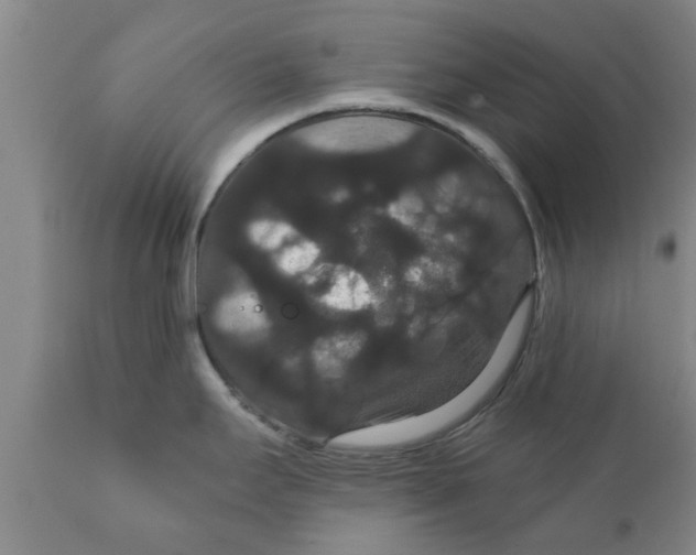 X0000111911295200908171253