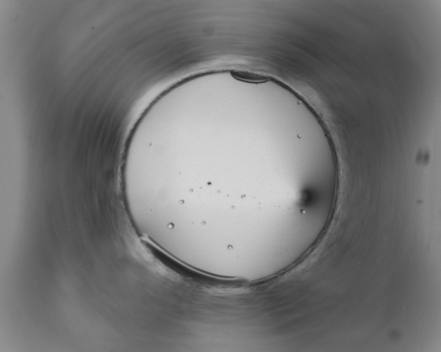 X0000111911296200908171253