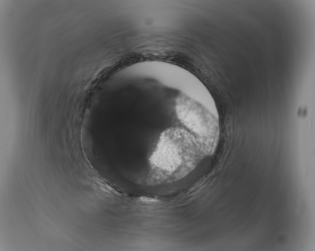 X0000111911297200908171252