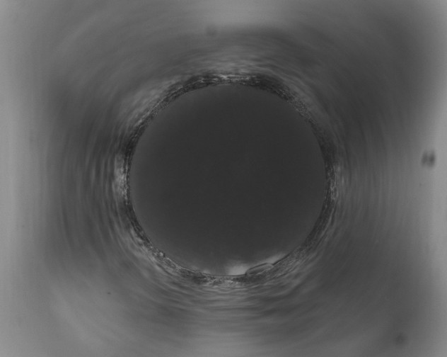 X0000111911298200908171252