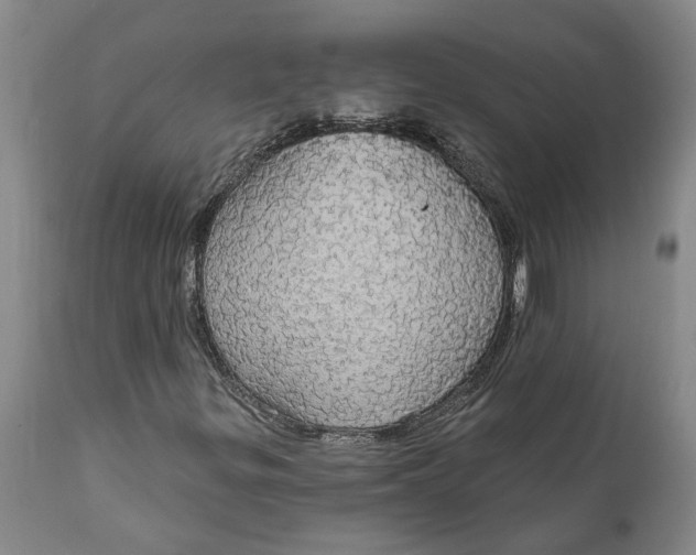 X0000111911299200908171252