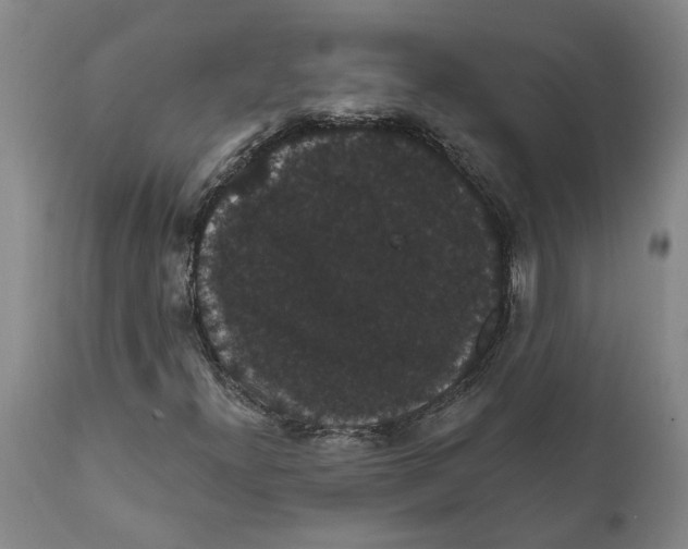 X0000111911300200908171252