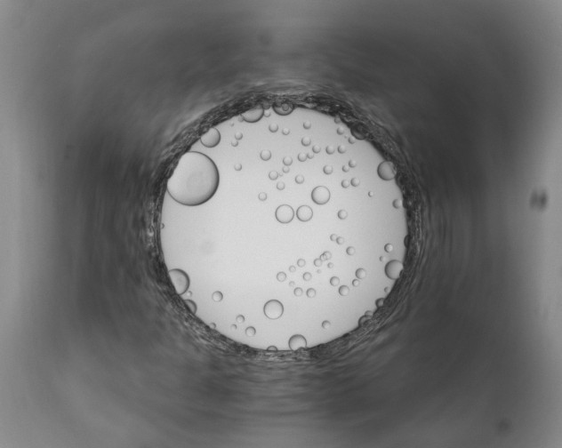 X0000111911301200908171252