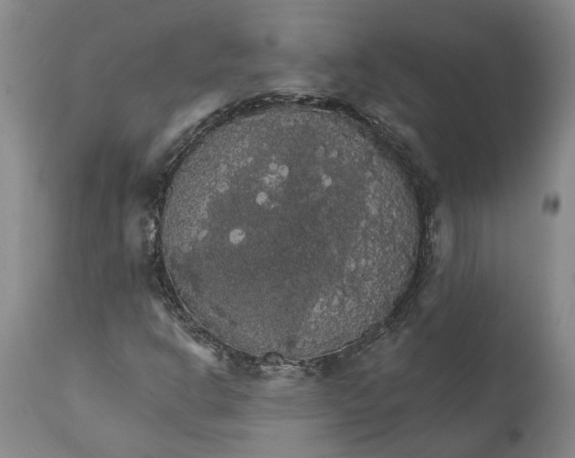 X0000111911302200908171252