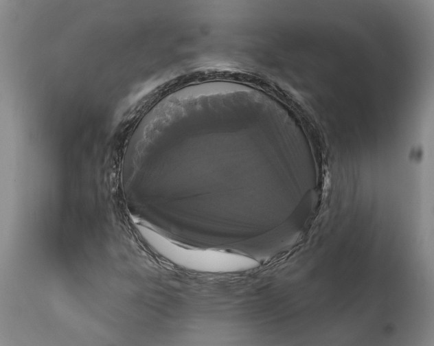 X0000111911303200908171252