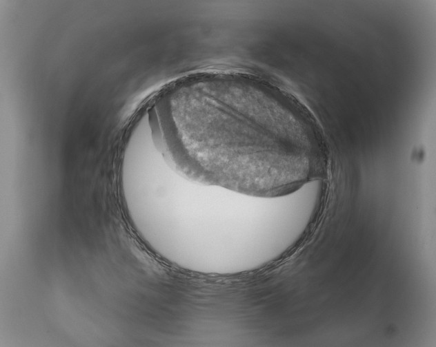 X0000111911304200908171252