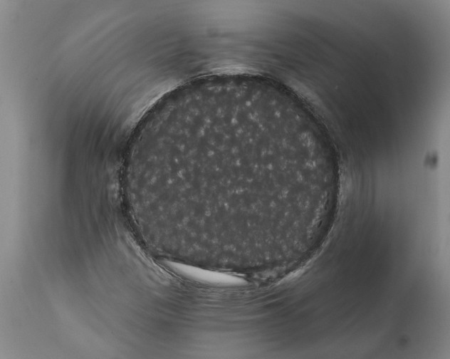 X0000111911305200908171252