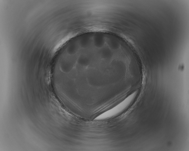 X0000111911306200908171252