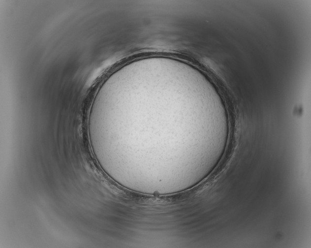 X0000111911307200908171252