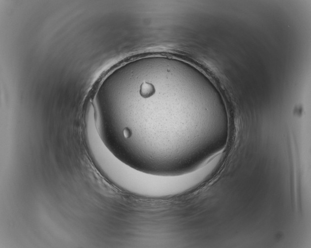 X0000111911308200908171252