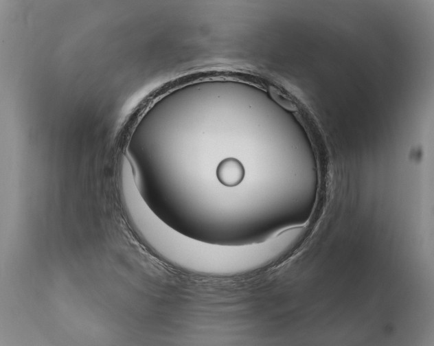 X0000111911310200908171252